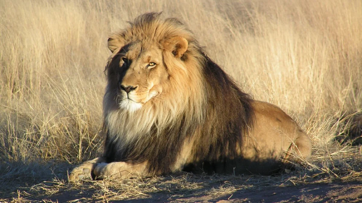 نکات نگهداری از محصولات